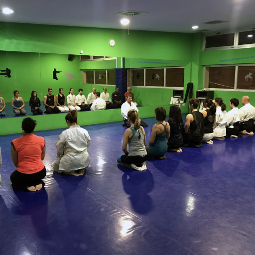 Imagen de un entrenamiento de Aikido en Termalia Sport